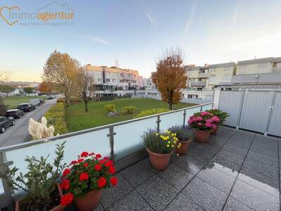 Anlageobjekt kaufen in 4614 Marchtrenk