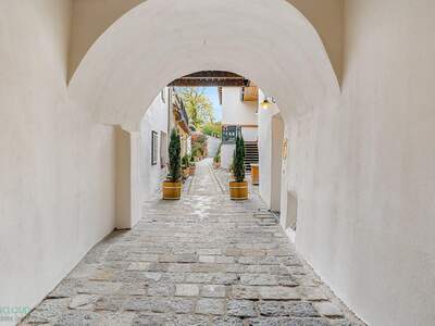 Altbauwohnung kaufen in 1190 Wien (Bild 2)