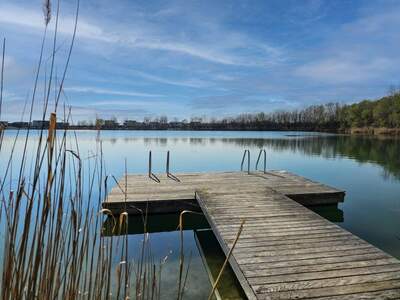 Grundstück kaufen in 3481 Fels