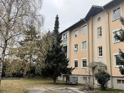 Wohnung kaufen in 2540 Bad Vöslau