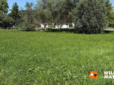 Grundstück kaufen in 6842 Koblach