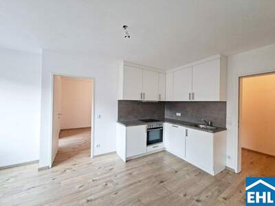 Terrassenwohnung mieten in 1100 Wien (Bild 4)