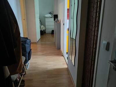 Wohnung provisionsfrei mieten in 1230 Wien