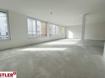 Gewerbeobjekt mieten in 2340 Mödling (Bild 2)