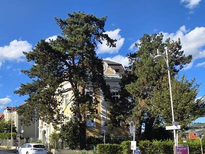 Haus kaufen in 4040 Linz (Bild 2)