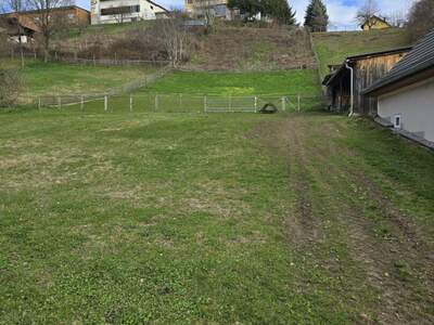 Grundstück kaufen in 8224 Hofkirchen (Bild 4)