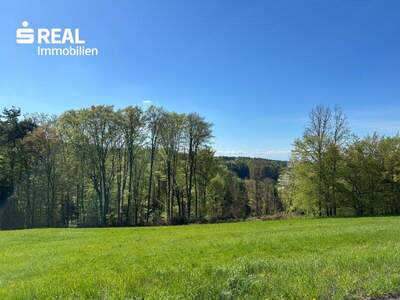 Grundstück kaufen in 8010 Hönigtal (Bild 1)