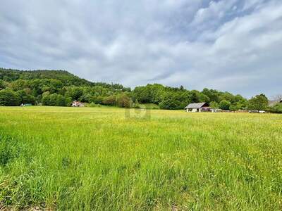Grundstück kaufen in 9081 Reifnitz (Bild 2)
