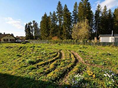 Grundstück kaufen in 5111 Bürmoos