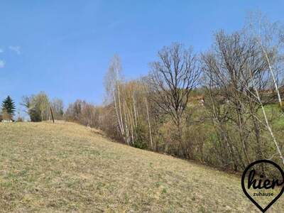 Grundstück kaufen in 8524 Deutschlandsberg (Bild 2)