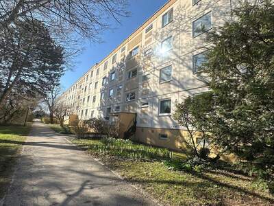 Wohnung kaufen in 2344 Maria Enzersdorf (Bild 2)