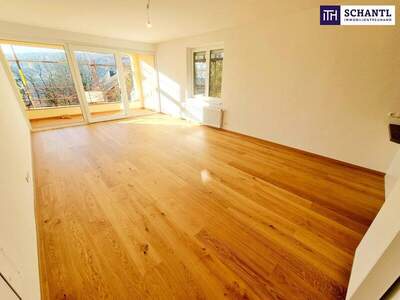 Terrassenwohnung kaufen in 1190 Wien (Bild 3)