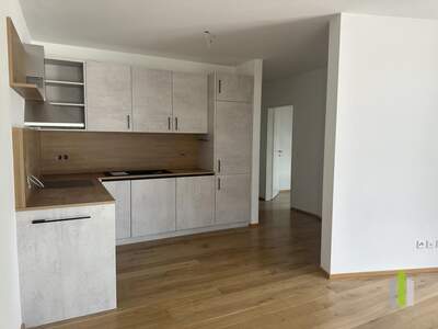Terrassenwohnung mieten in 4812 Pinsdorf (Bild 2)