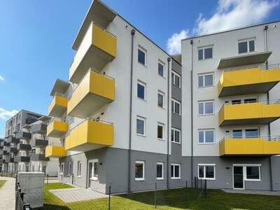 Terrassenwohnung mieten in 2700 Wr. Neustadt (Bild 3)