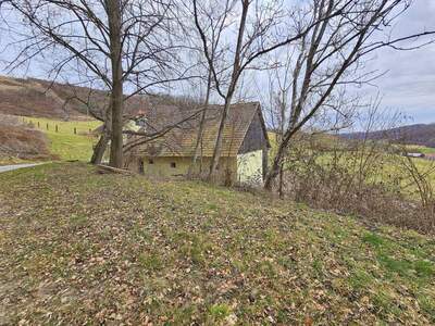 Haus kaufen in 8472 Spielfeld (Bild 5)