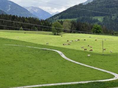 Grundstück kaufen in 8962 Gröbming