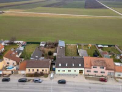 Haus kaufen in 2291 Lassee