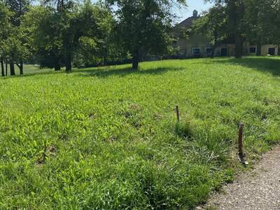 Grundstück kaufen in 4209 Engerwitzdorf (Bild 4)