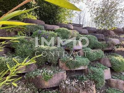 Haus kaufen in 2224 Sulz