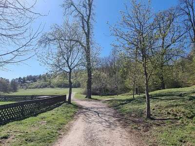 Grundstück kaufen in 1130 Wien