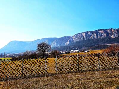 Eigentumswohnung in 2724 Gaaden (Bild 1)