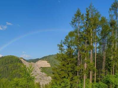 Haus kaufen in 3172 Ramsau