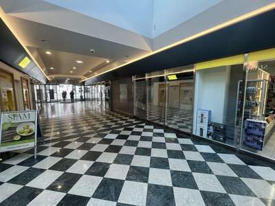 Gewerbeobjekt mieten in 1040 Wien (Bild 3)