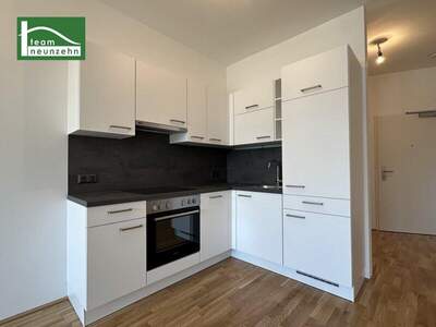 Terrassenwohnung mieten in 1220 Wien (Bild 4)