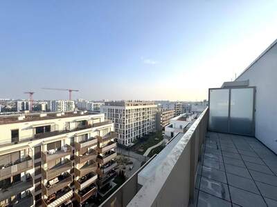 Wohnung mieten in 1220 Wien