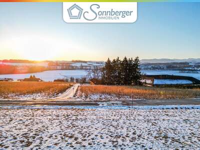 Grundstück kaufen in 4501 Neuhofen (Bild 1)