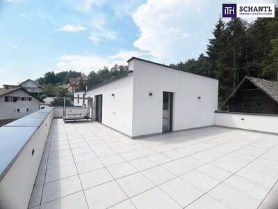 Terrassenwohnung kaufen in 8160 Birchbaum (Bild 1)