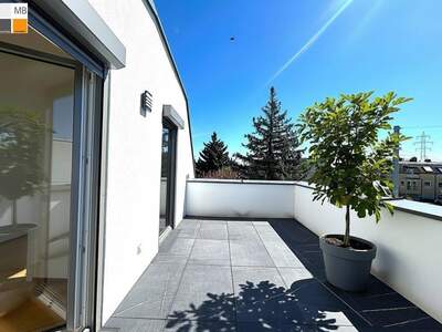 Haus kaufen in 1230 Wien