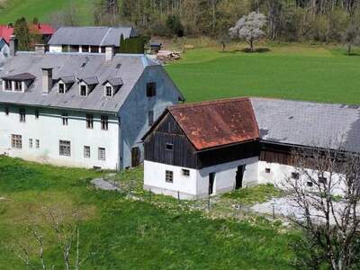 Haus kaufen in 8923 Palfau