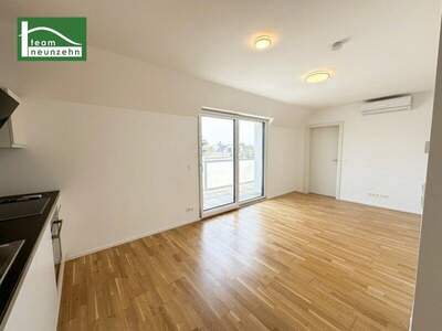 Terrassenwohnung kaufen in 1220 Wien (Bild 4)