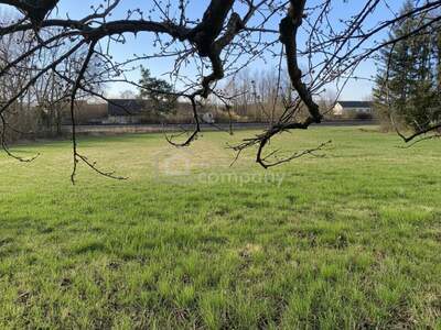 Grundstück kaufen in 2722 Winzendorf