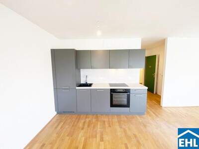 Terrassenwohnung mieten in 1110 Wien (Bild 2)