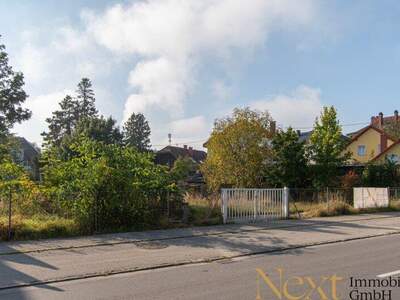 Grundstück kaufen in 4050 Traun (Bild 4)