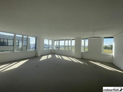 Gewerbeobjekt mieten in 1220 Wien (Bild 5)