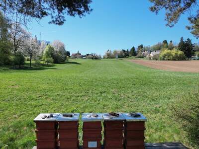 Grundstück kaufen in 8502 Lannach