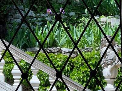 Haus mit Garten kaufen in 2371 Hinterbrühl (Bild 4)