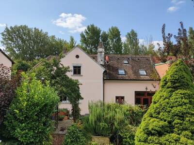 Einfamilienhaus kaufen in 2122 Ulrichskirchen