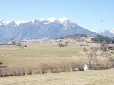 Gewerbeobjekt kaufen in 8793 Trofaiach (Bild 2)