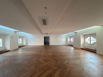 Gewerbeobjekt mieten in 1010 Wien (Bild 2)