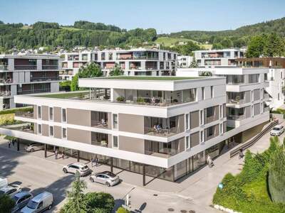 Anlageobjekt kaufen in 4813 Altmünster