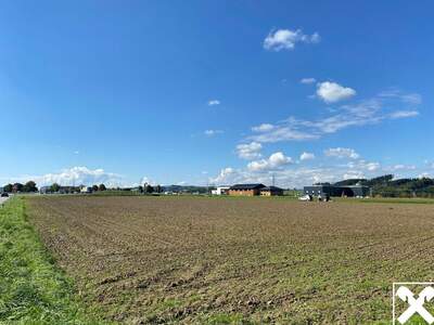 Gewerbeobjekt kaufen in 4671 Neukirchen (Bild 2)