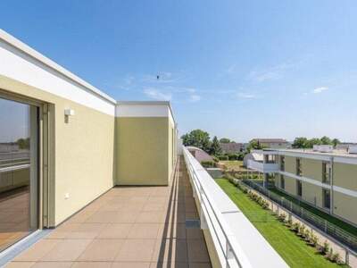 Terrassenwohnung kaufen in 2540 Bad Vöslau (Bild 4)