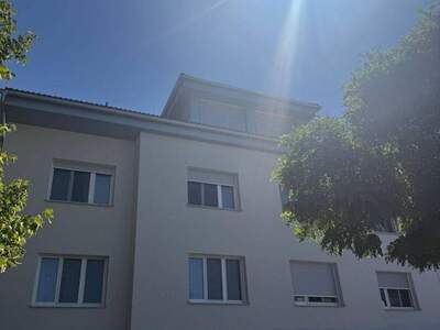 Anlageobjekt kaufen in 4600 Thalheim