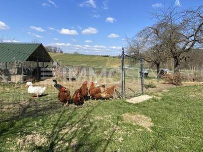 Einfamilienhaus kaufen in 7540 Kleinmürbisch (Bild 1)