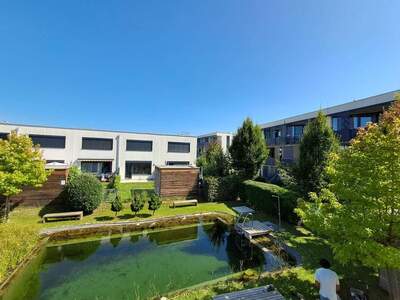 Wohnung mieten in 3500 Krems