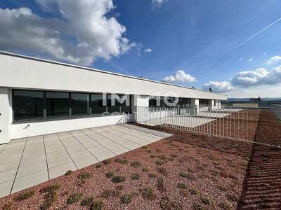 Terrassenwohnung kaufen in 3500 Krems